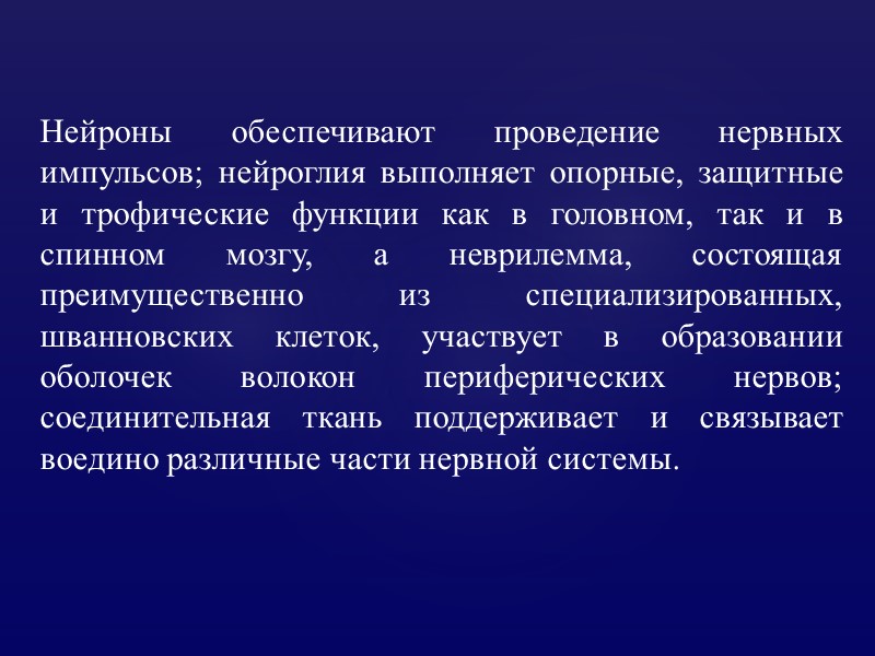 Нейроны обеспечивают проведение нервных импульсов; нейроглия выполняет опорные, защитные и трофические функции как в